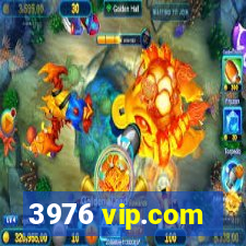 3976 vip.com